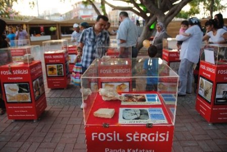 Manavgat'ta 400 milyon yıllık fosil sergisi açıldı