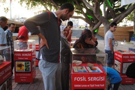 Manavgat'ta 400 milyon yıllık fosil sergisi açıldı