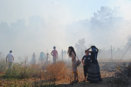 Manavgat'ta Çıkan Orman Yangını Söndürüldü