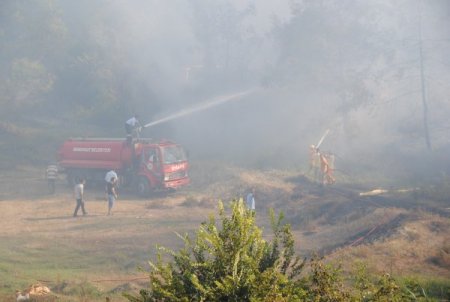 Manavgat'ta Çıkan Orman Yangını Söndürüldü