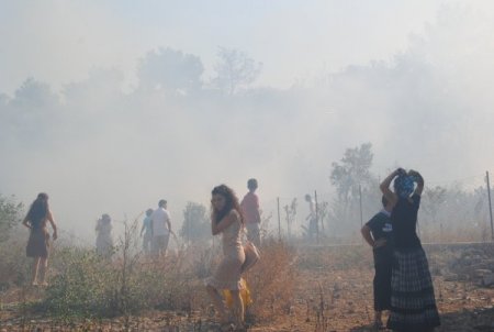 Manavgat'ta Çıkan Orman Yangını Söndürüldü