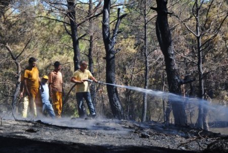 Manavgat'ta çıkan orman yangını yerleşim alanına sıçramadan söndürüldü