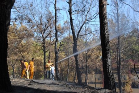 Manavgat'ta çıkan orman yangını yerleşim alanına sıçramadan söndürüldü