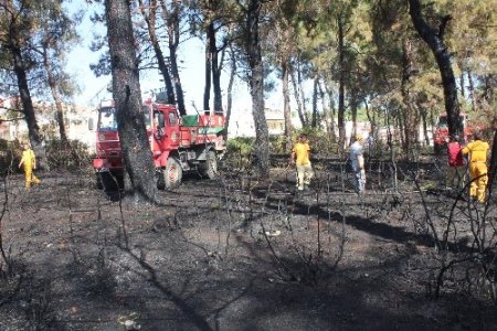 Manavgat'ta çıkan yangında 7 dönümlük ormanlık alan zarar gördü