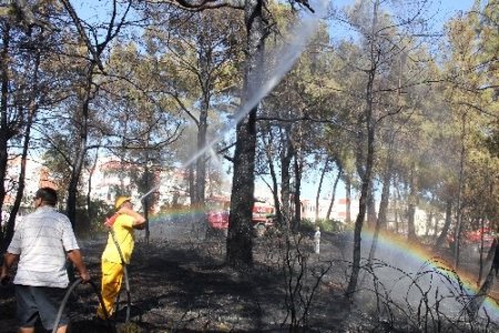 Manavgat'ta çıkan yangında 7 dönümlük ormanlık alan zarar gördü