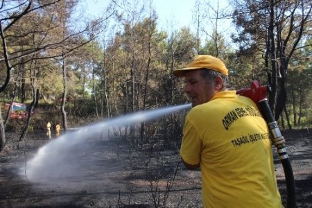 Manavgat'ta çıkan yangında 7 dönümlük ormanlık alan zarar gördü