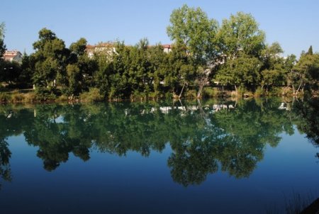 Manavgat'ta Erozyon, Böğürtlen Ve Kargı Kökleriyle Önlenecek