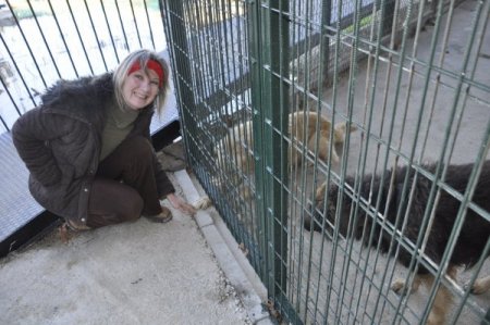 Manavgat'ta hayvan barınağı törenle hizmete girdi