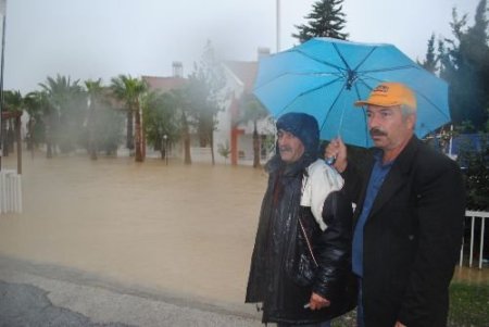 Manavgat'ta Karpuz Çayı Taştı, Tatil Siteleri Sular Altında Kaldı
