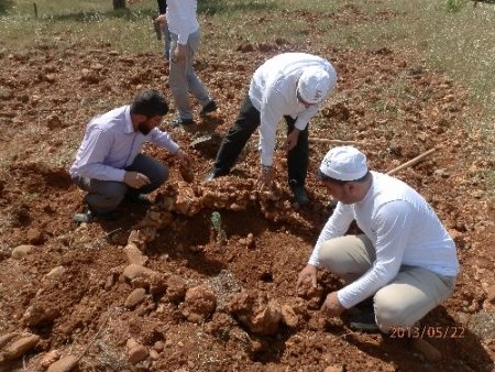 Manavgat'ta 'Semerkand Haftası' etkinlikleri fidan dikimiyle başladı