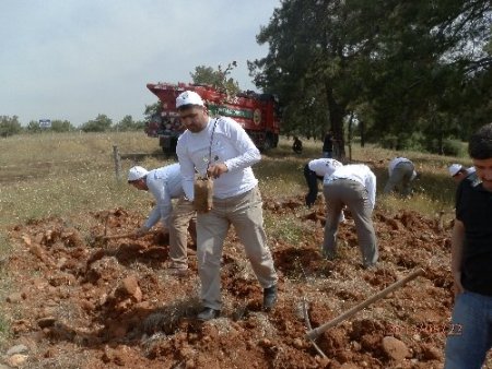Manavgat'ta 'Semerkand Haftası' etkinlikleri fidan dikimiyle başladı