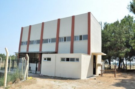 Manavgat'ta Sokak Hayvanları İçin Barınak