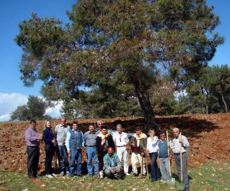 Manavgat'ta Yörükler İle Yerleşik Turistler Birlikte Çam Fıstığı Fidanı Dikti