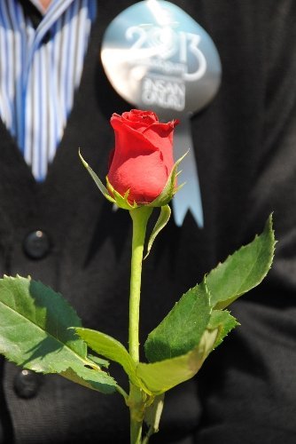 Manavgat'taki Kutlu Doğum kutlamasında turistler unutulmadı