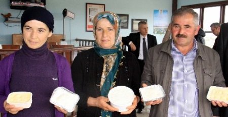 Manda sütünün taliplisi artıyor, üretim 4 kat artacak