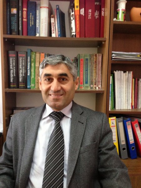 Manda yoğurdu, kalın bağırsak kanseri riskini yüzde 80 önlüyor