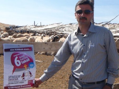 Mandıra sahibi kurbanlıkları kredi kartına 6 taksitte satıyor