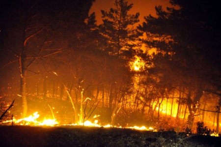 Manisa Spil Dağı'nda çıkan yangın, rüzgarın etkisiyle hızla yayılıyor