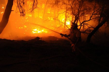 Manisa Spil Dağı'nda çıkan yangın, rüzgarın etkisiyle hızla yayılıyor