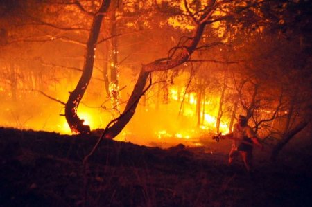 Manisa Spil Dağı'nda çıkan yangın, rüzgarın etkisiyle hızla yayılıyor