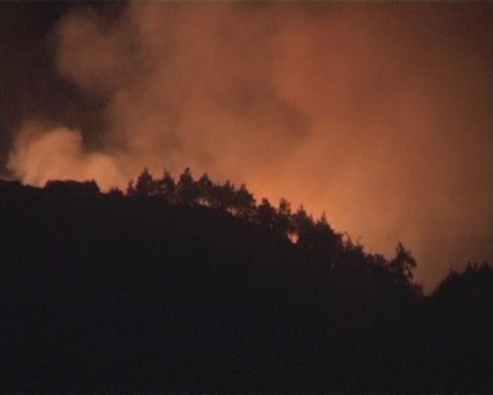 Manisa'da Orman Yangını