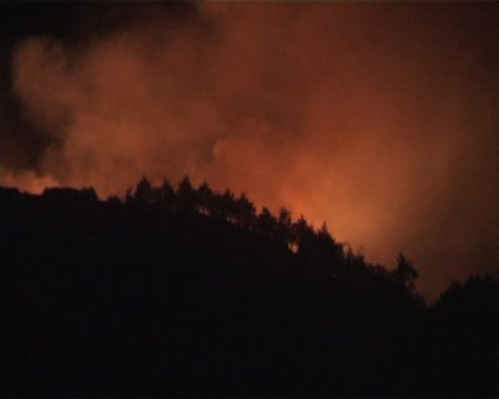 Manisa'da Orman Yangını