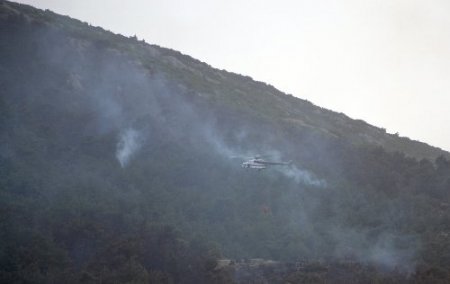 Manisa'daki orman yangını kontrol altına alındı