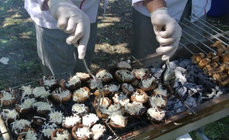 Mantar kursunu tamamlayanlara sertifikaları verildi