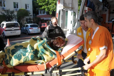 Mantar toplarken kaybolan yaşlı kadını 'Ezel' buldu