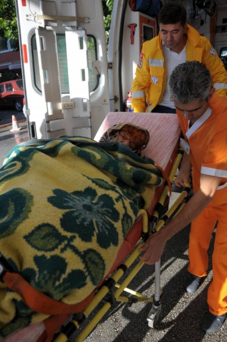 Mantar toplarken kaybolan yaşlı kadını 'Ezel' buldu