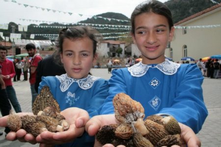 Mantarın zehirli olup olmadığı rengi ve kokusuyla bilinemez