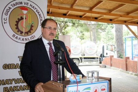 Manyas'ın Dağ Köylerinde Süt Kalitesi Arttırılacak