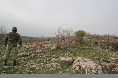 Mardin-Diyarbakır kara yolunda bulunan patlayıcı imha edildi