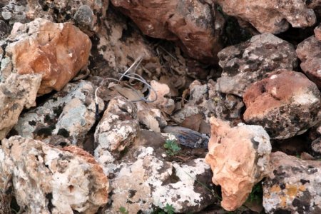 Mardin-Diyarbakır kara yolunda bulunan patlayıcı imha edildi