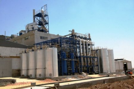 Mardin Kabuğuna Sığmıyor