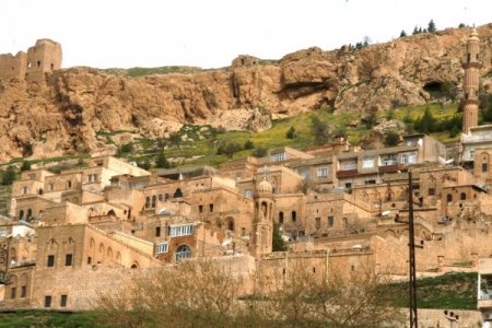 Mardin Kabuğuna Sığmıyor