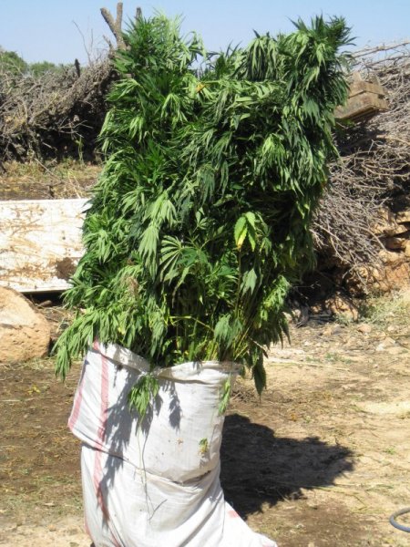 Mardin Ve Diyarbakır'da Uyuşturucu Operasyonu: 5 Kişi Tutuklandı