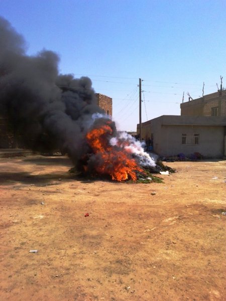 Mardin'de 73 Kg Esrar Ve 68 Bin Adet Kök Hint Keneviri Ele Geçirildi
