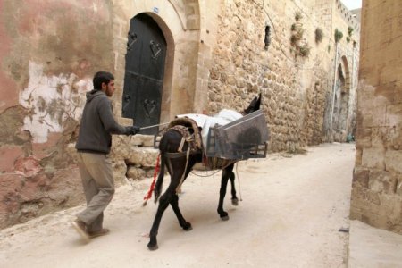 Mardin'de araçların geçemediği sokaklarda eşekler devreye girdi