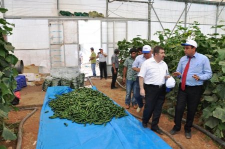 Mardin’de Seracılık Çalıştayı Düzenlendi