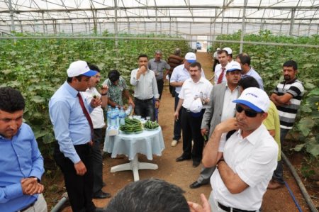 Mardin’de Seracılık Çalıştayı Düzenlendi