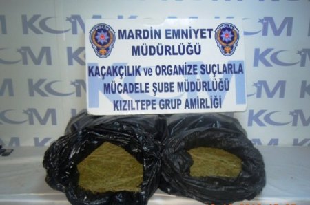 Mardin’de uyuşturucu operasyonu