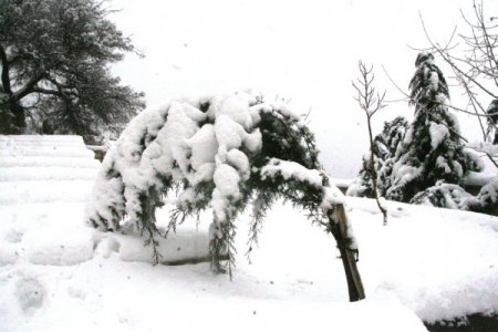 Mardin'de Yağan Kar Güzel Görüntülere Yolaçtı