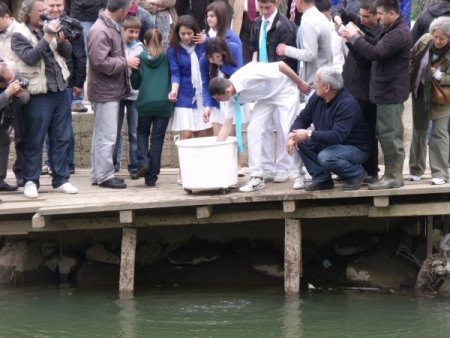 Markalanan Bin 200 Mersin Balığı Sakarya Nehrine Bırakıldı