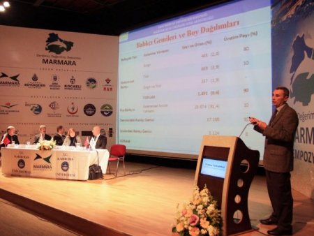 Marmara'da lider hamsi, palamut dördüncü