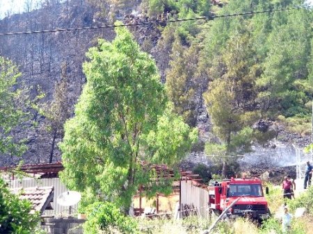Marmaris’te 5 dönüm çam ormanı yandı
