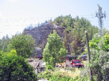 Marmaris’te 5 dönüm çam ormanı yandı