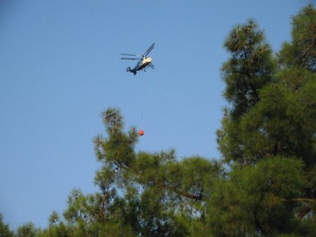 Marmaris’te Orman Yangını