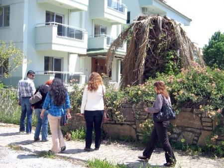 Marmaris’te palmiye böceğine karşı topyekûn mücadele