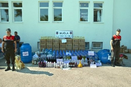 Marmaris’te sahte içki ele geçirildi